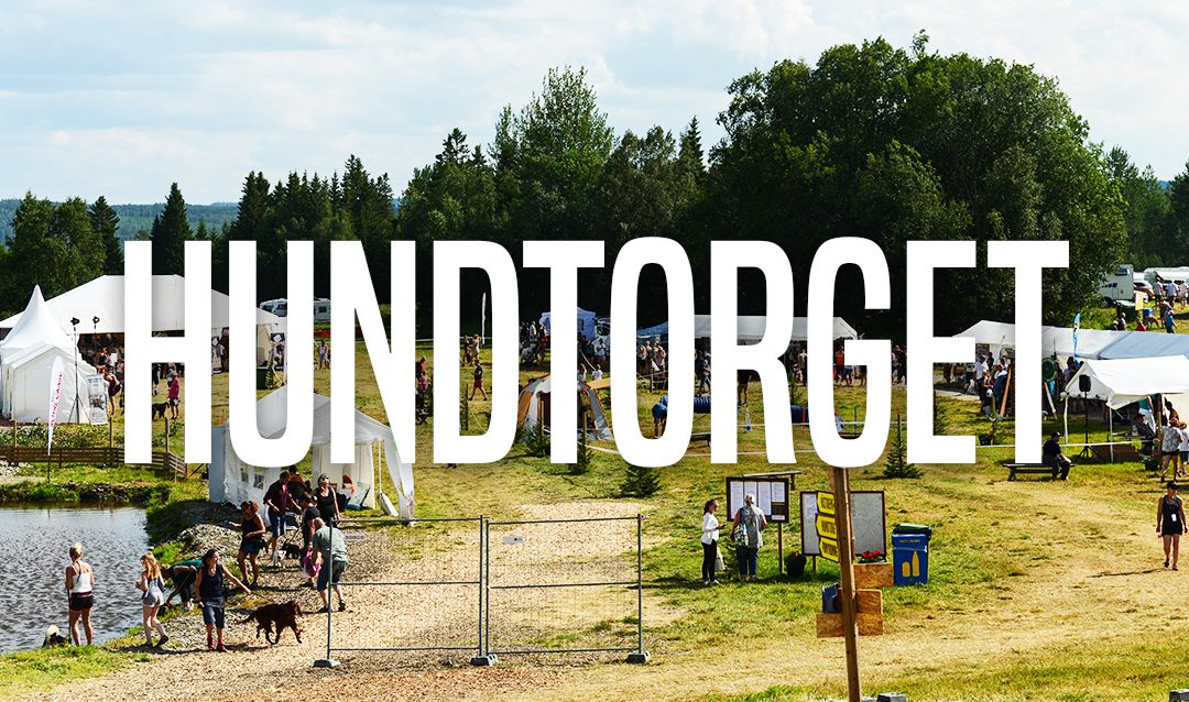 Hundtorget 2019