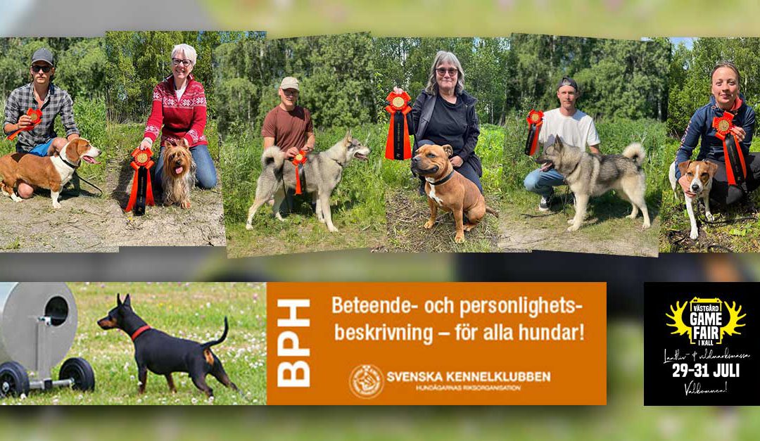 BPH – Beteende- och personlighetsbeskrivning hund
