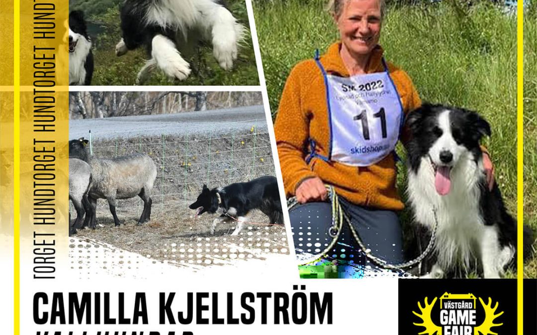 Camilla Kjellström – Vallhundar