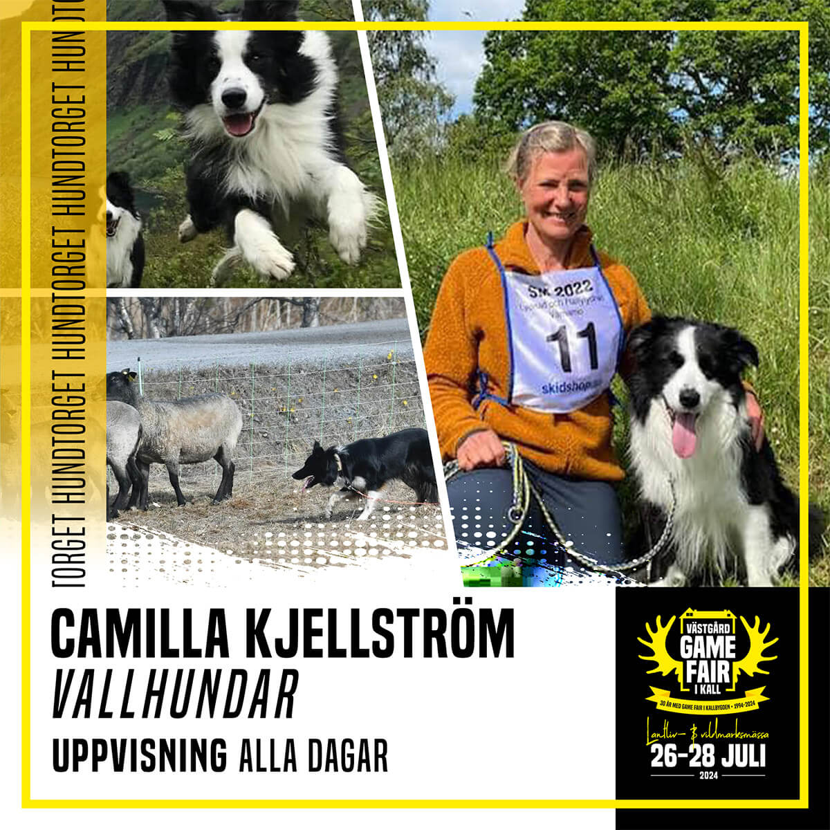 Camilla Kjellström – Vallhundar