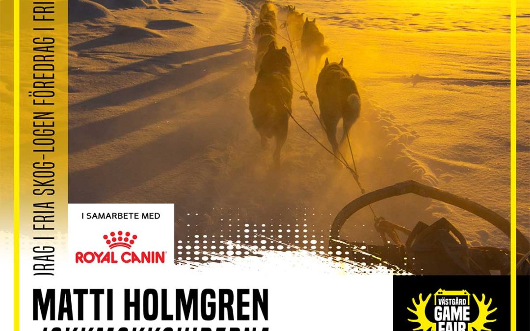 Matti Holmgren – Jokkmokkguiderna under ett år