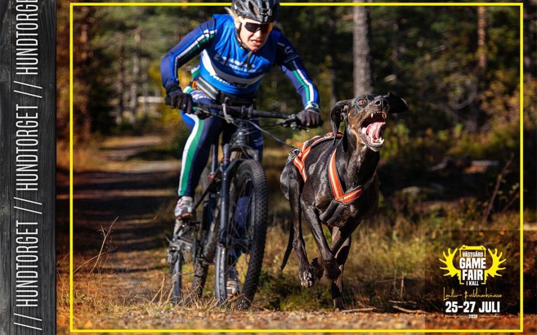 Östersund Draghund IF – Aktivitetsbana