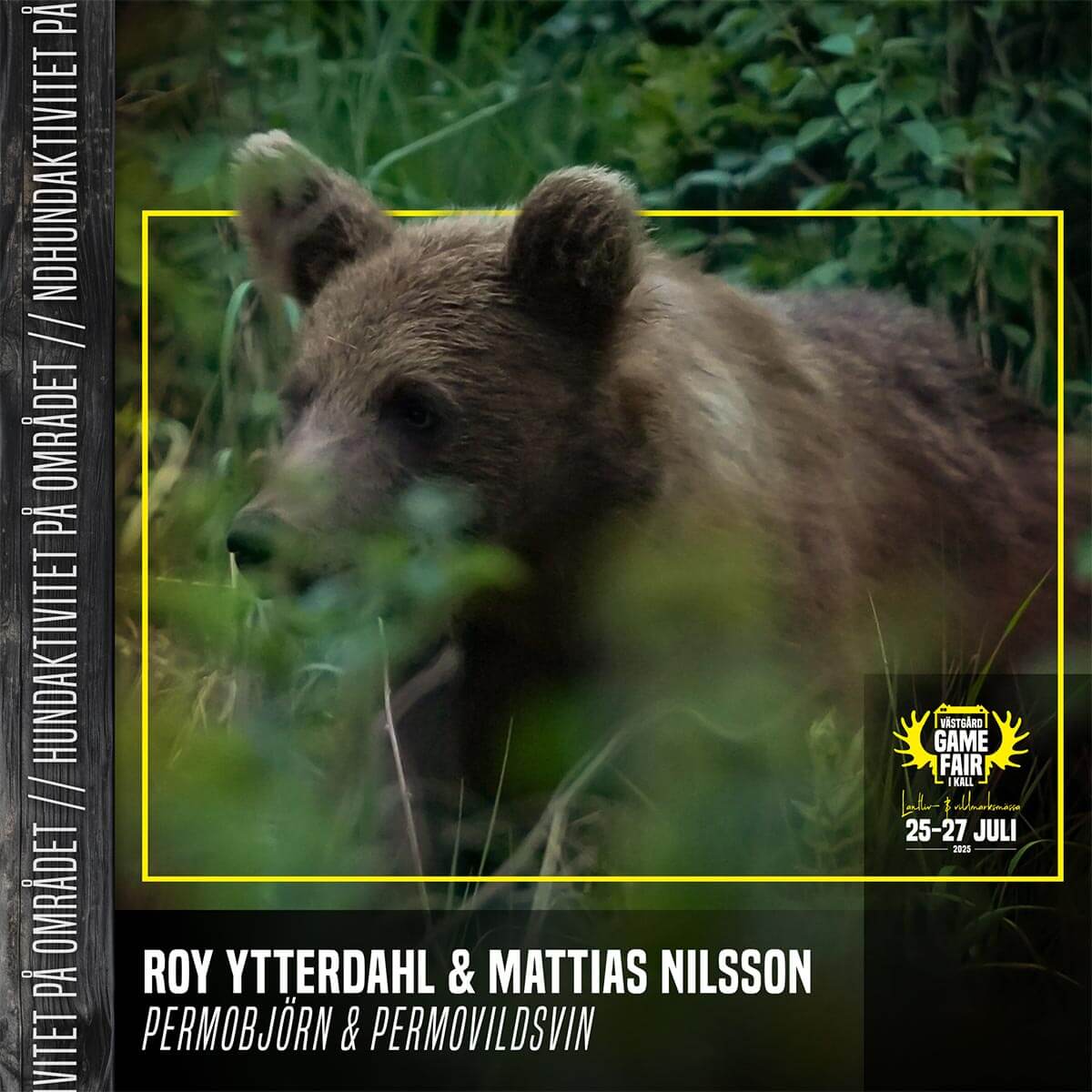Roy Ytterdahl & Mattias Nilsson – Permobjörn & Permovildsvin