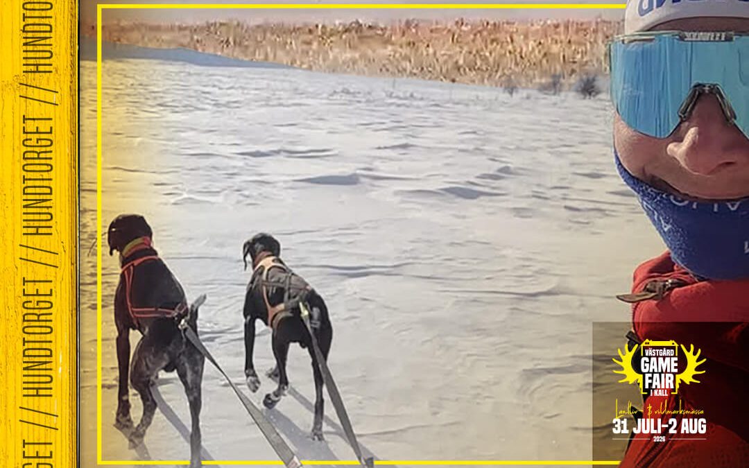 Jaana Tengman – Draghundar