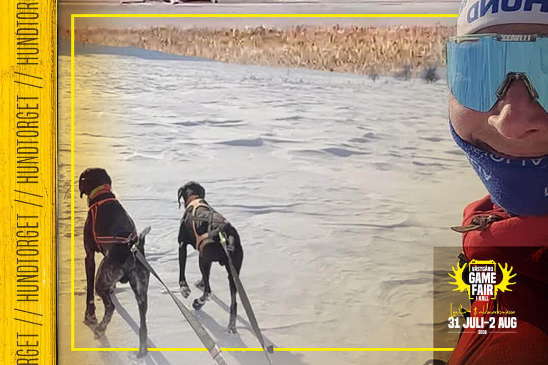 Jaana Tengman – Draghundar