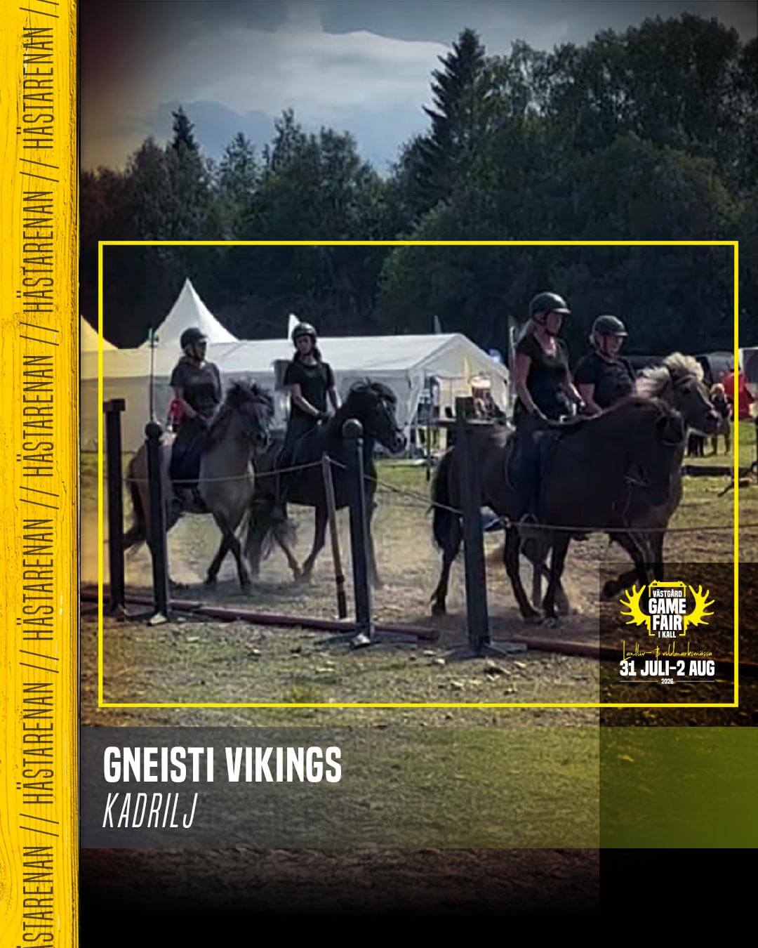 Gneisti Vikings