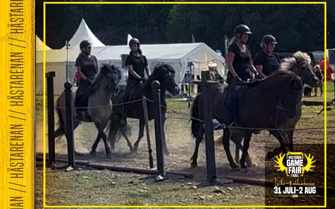 Gneisti Vikings – Kadrilj
