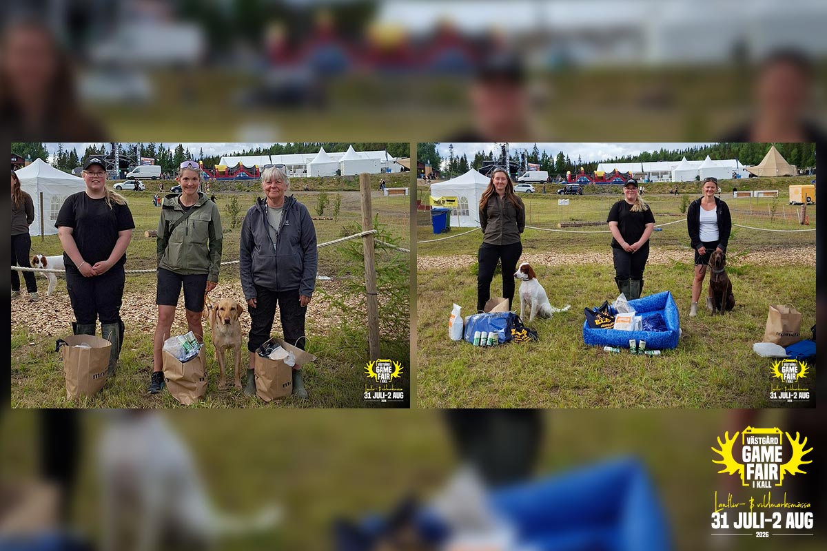Lördagens resultat av apporttävlingarna